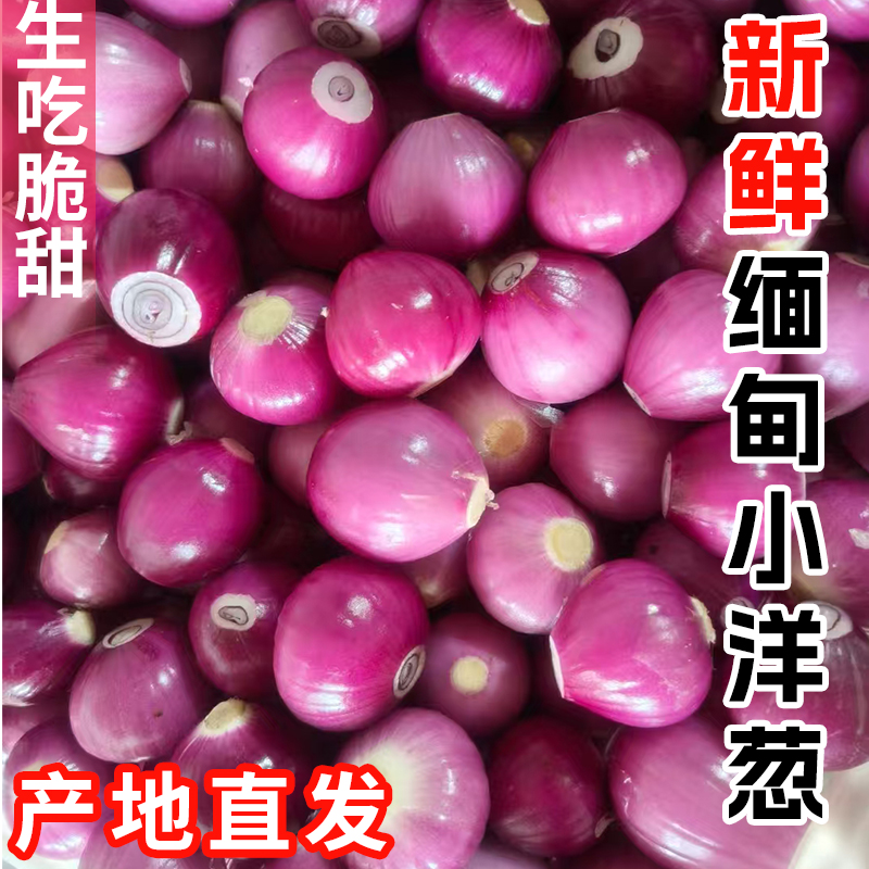 【丰美】东南亚小圆葱生吃凉拌咖喱提香包邮缅甸现货助农农产品干货