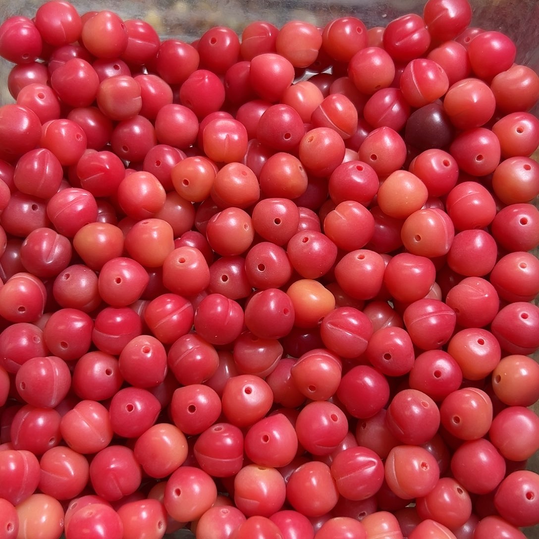 菩提根/象牙果吊坠卡12乌梅子酱20颗卡牌➕5颗