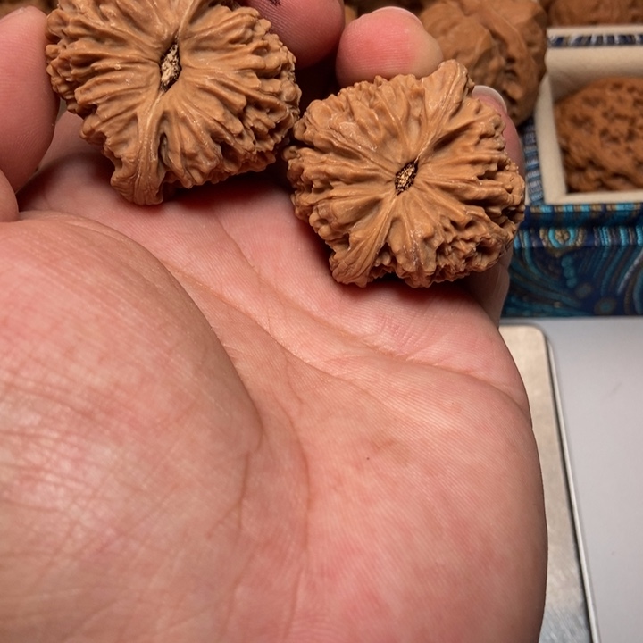 文玩核桃把件布*德南疆石