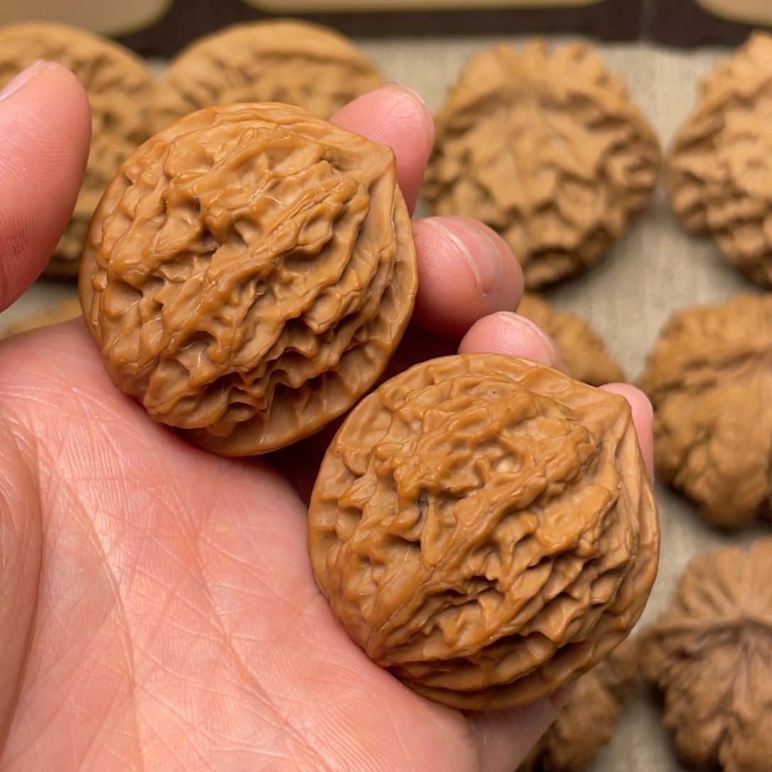 核桃秦岭核桃17号