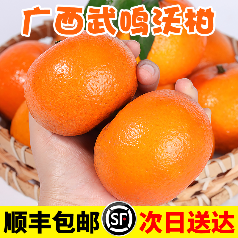 【顺丰次日达】广西武鸣沃柑9-10斤新鲜桔子水果柑橘大果橘子包邮