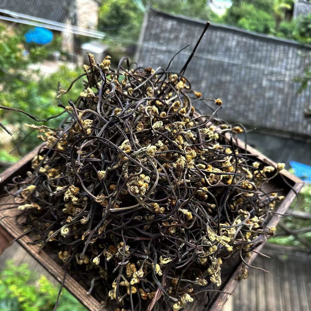 【野山记】蕨菜现收山货自然晾晒野生干货泡水鲜嫩可凉拌B1