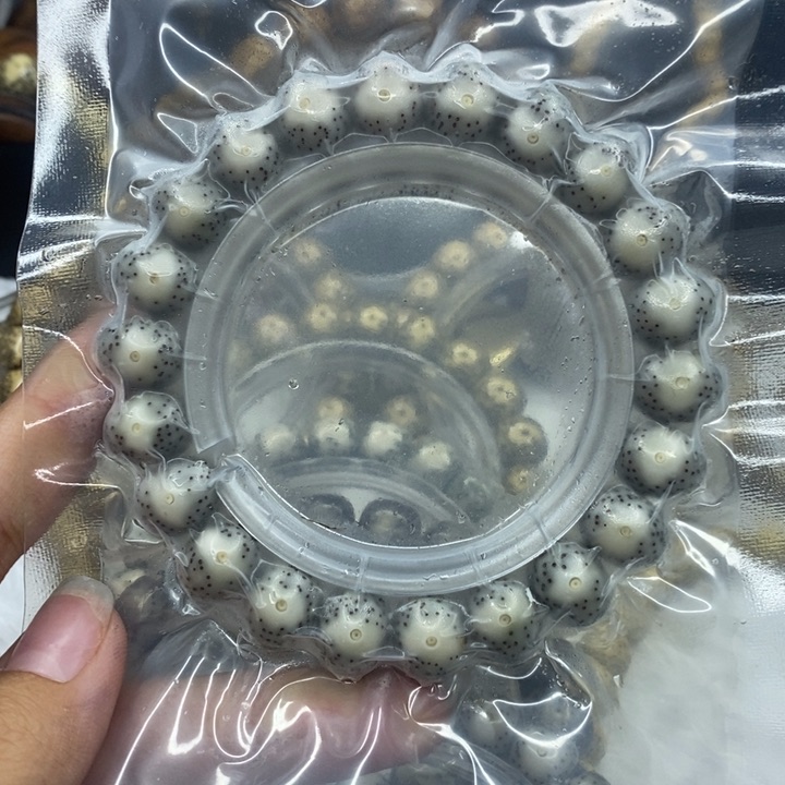 星月菩提手串那*海13苹果大眼睛