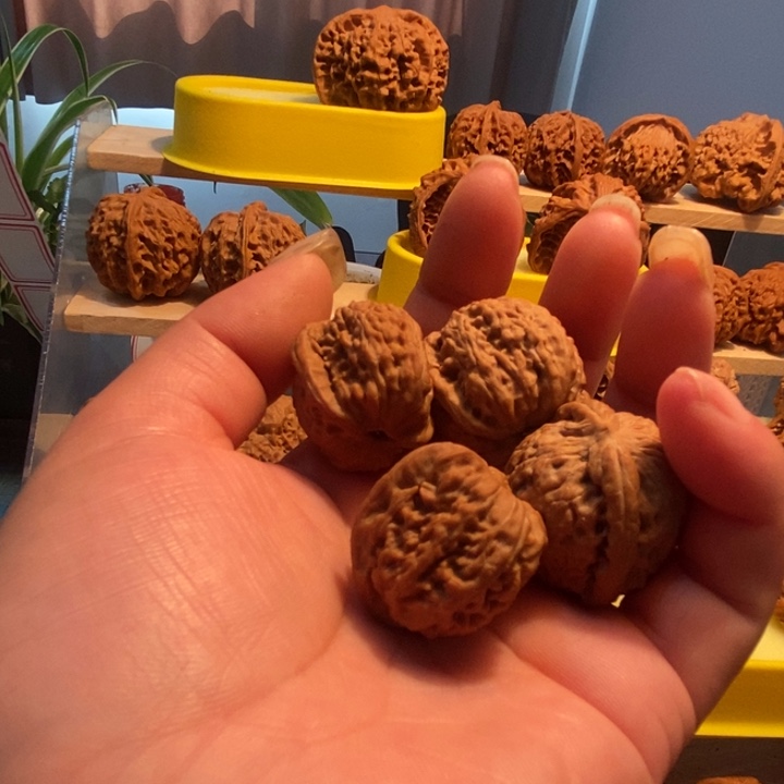 清*官方网站发布消息