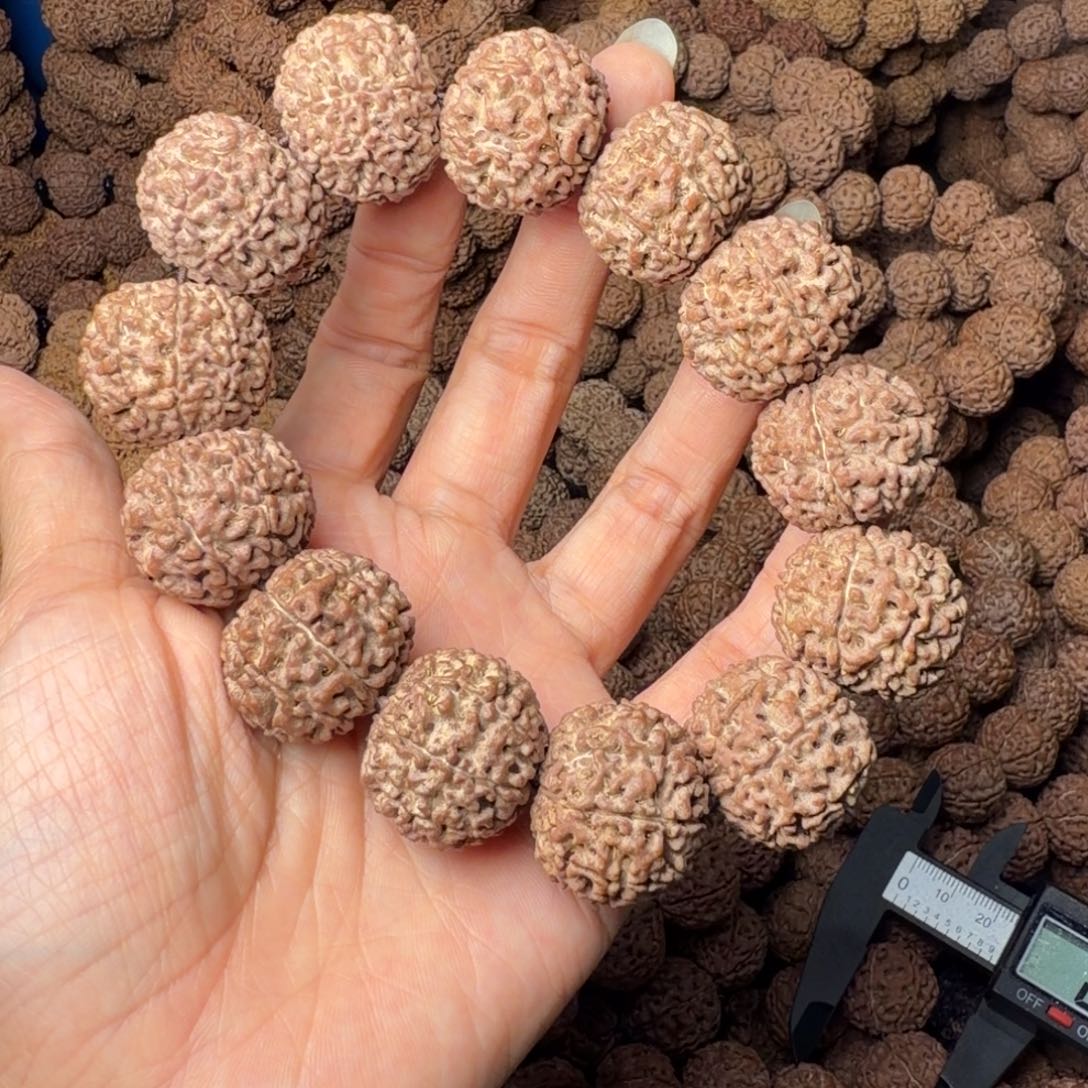 手串金刚菩提8瓣卡24尺，70号