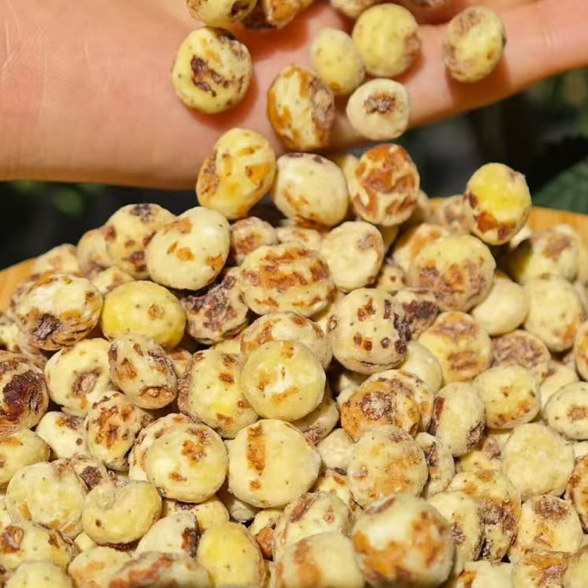 新疆去皮慢烤油莎豆油沙豆正宗健康黄瓜玉米粒爆米花皇家