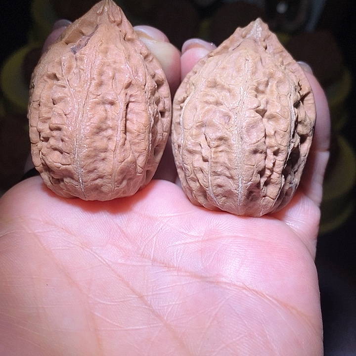 文玩核桃把件东北野生楸子小美3 6