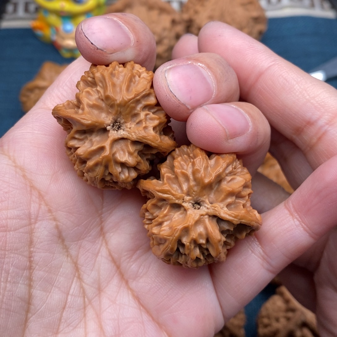 文玩核桃把件33精配老树小苹果全品