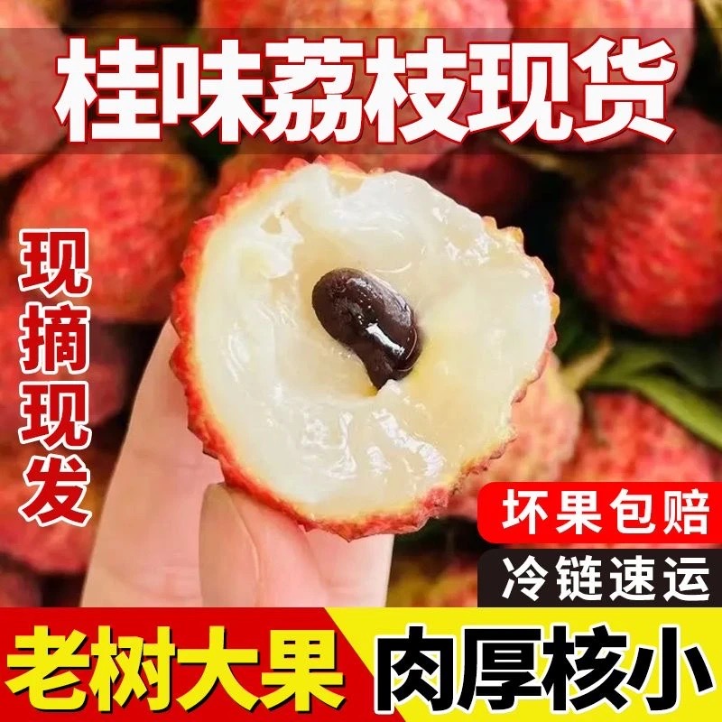 【冷链直发】广东桂味荔枝茂名高州新鲜现摘应季HH