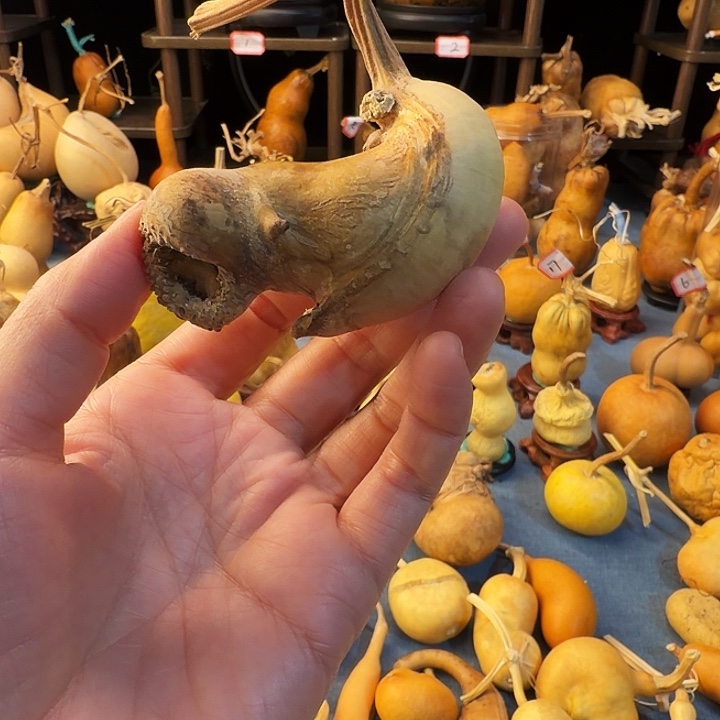 普***r大叶紫檀（黑酸枝木类）