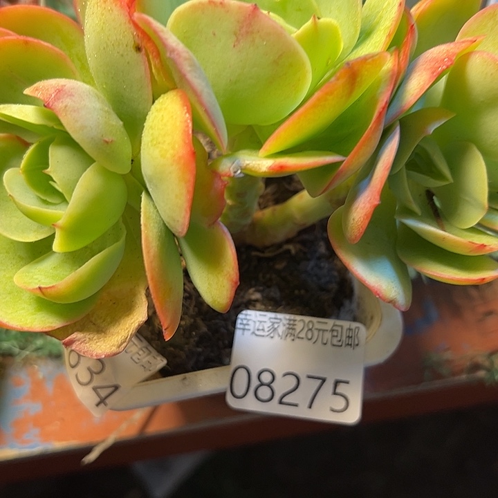 幸运的是我还没遇到过这样