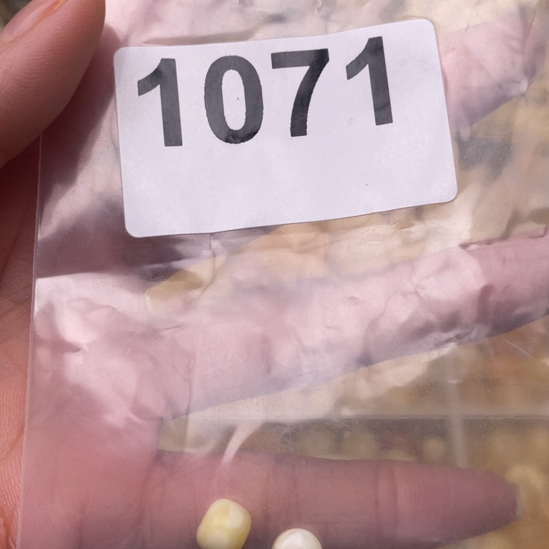 蜜蜡珠宝奇石未镶嵌?****?7.2。7.6