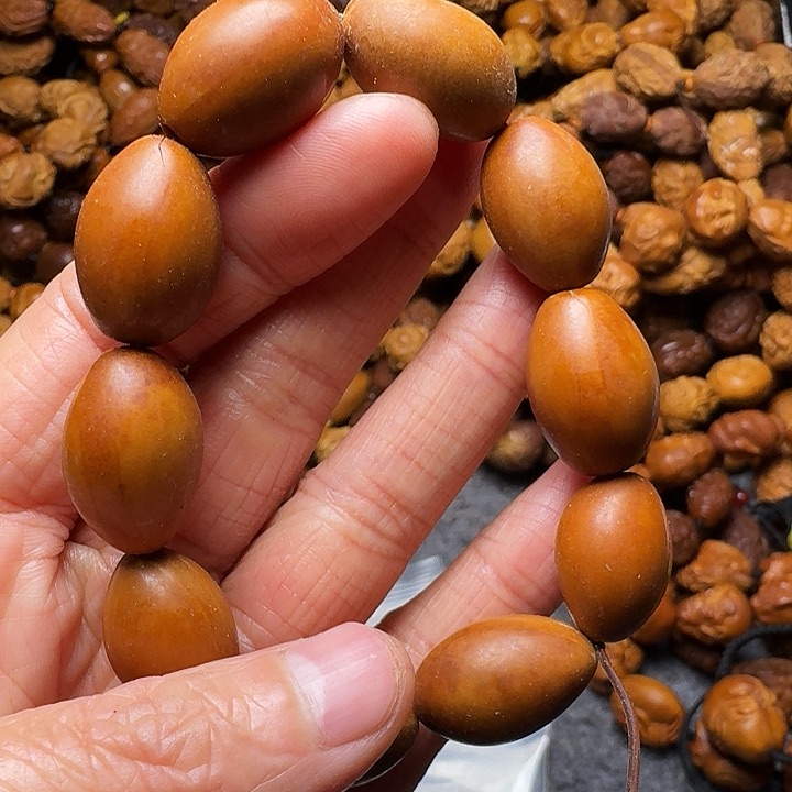 橄榄核手串我是你