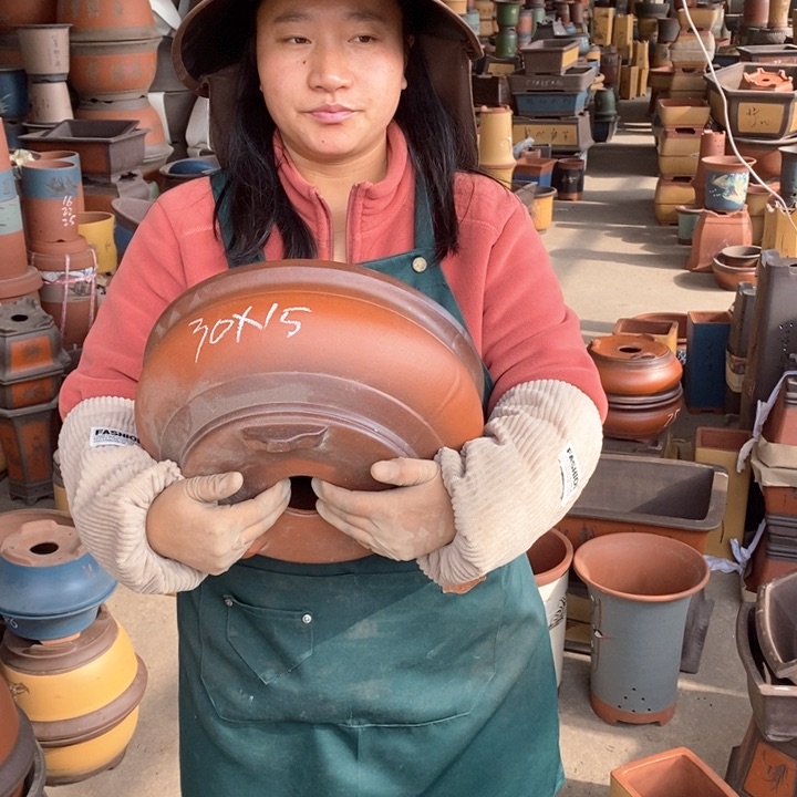 紫砂花盆盆栽花卉苗木种植