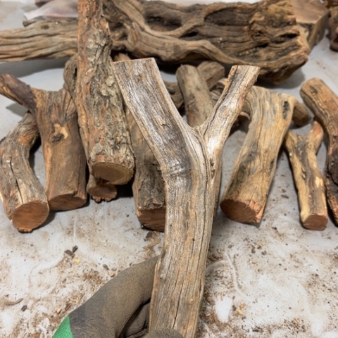 大果紫檀（缅甸花梨）你****、