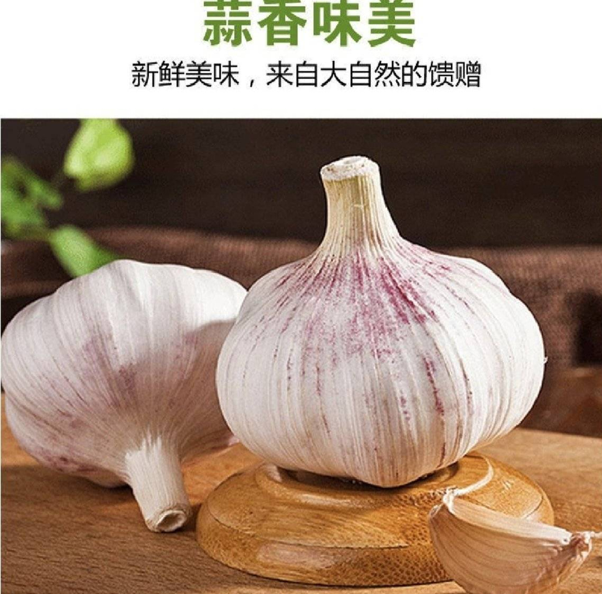 湖南湘西农家自种正宗紫白皮大蒜饱满新鲜干蒜