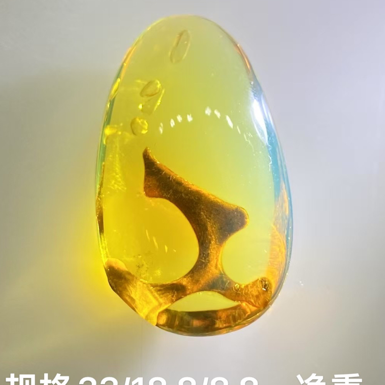 新出精美植物与干胆小吊坠 植物清晰，干胆像吹泡泡，高蓝珀体