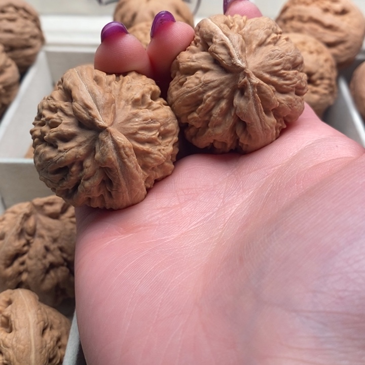 鼎***业文玩核桃吊坠霸王龙