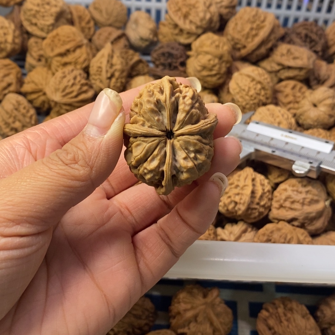 发***哥文玩核桃吊坠玉玺