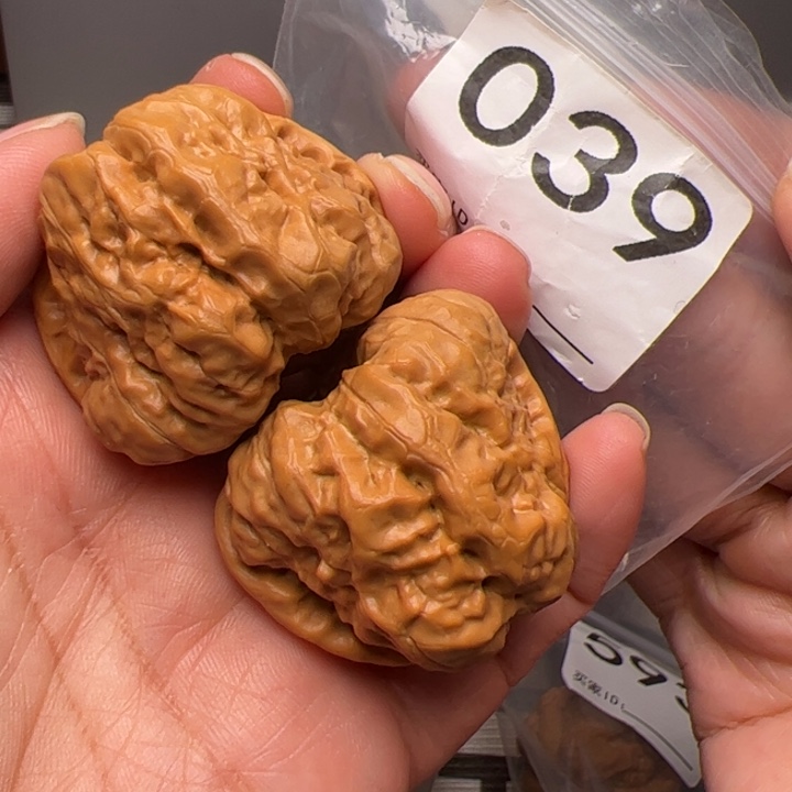 核桃41尺43肚039号四开背