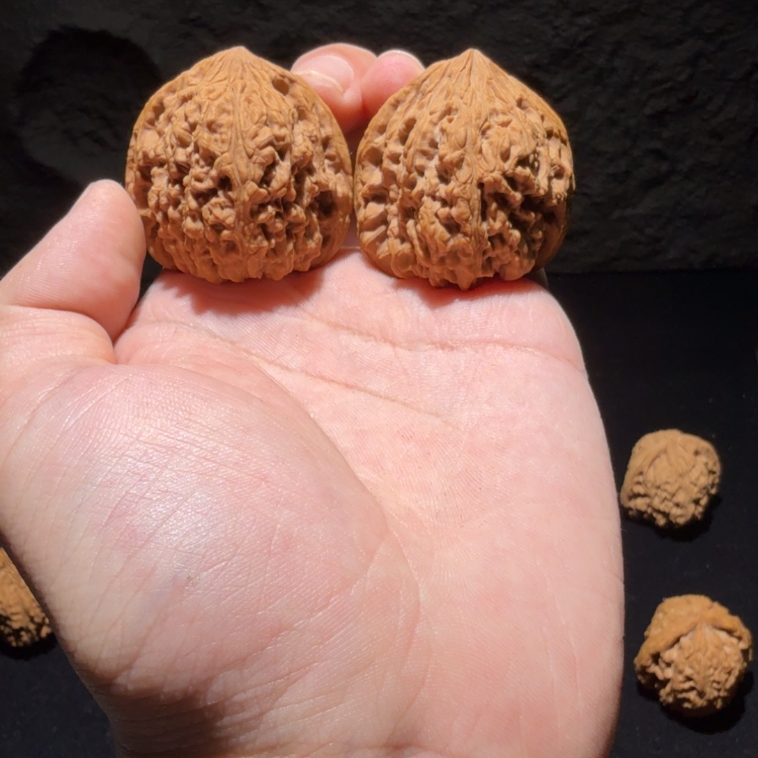 文玩核桃吊坠3号38三角