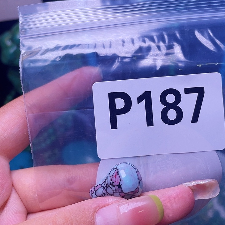 空竹粉丝福利专享