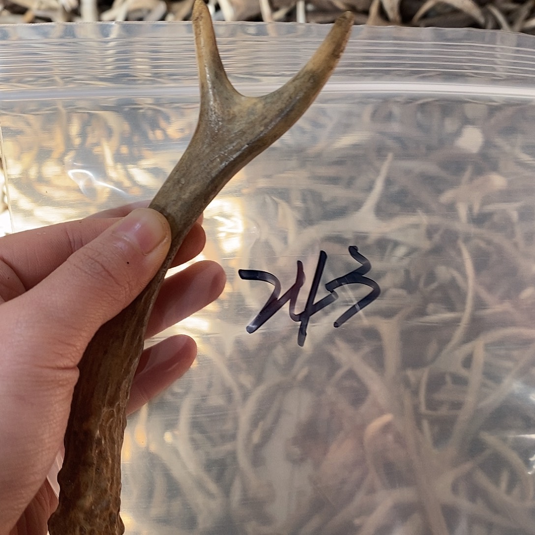 用***4非金属鹿角鹿角鹿角