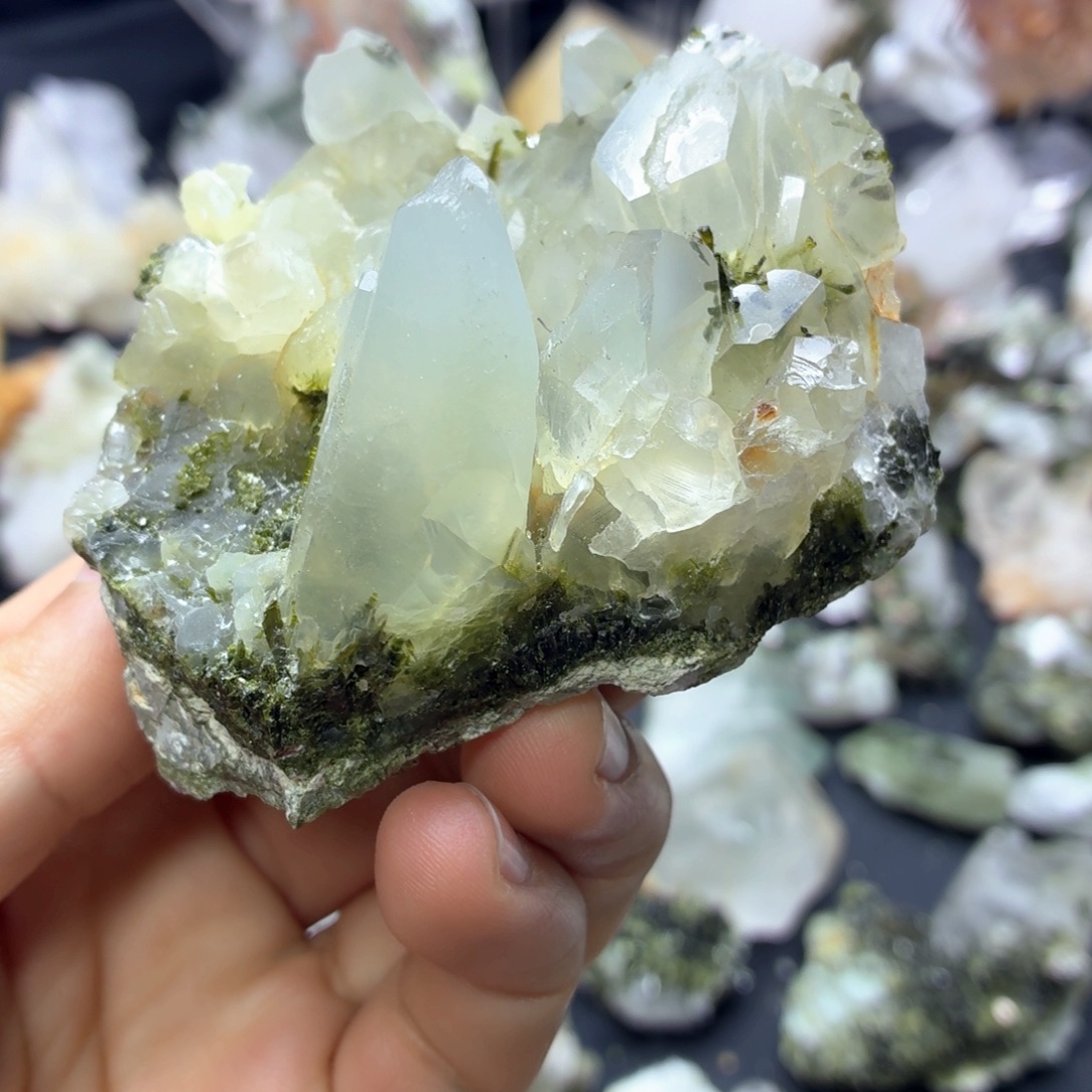 石材绿兔毛花园哦