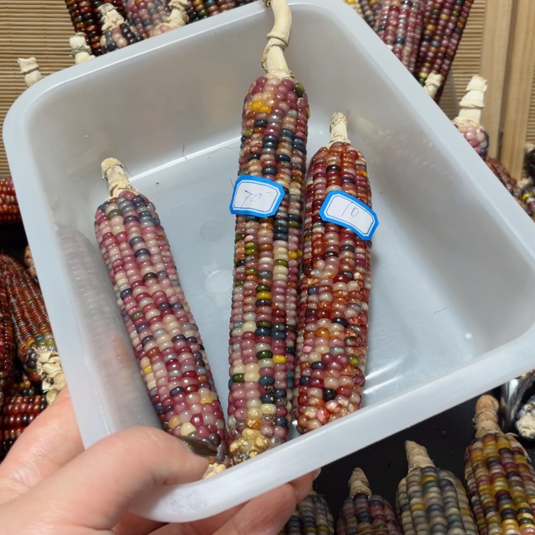 仔****直播间七彩文玩玉米不退换