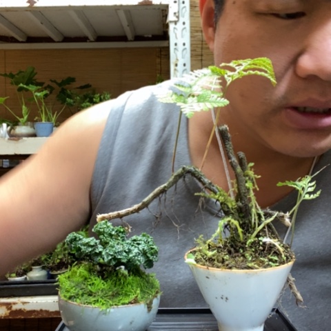 红陶…*一物一拍所见即所得202