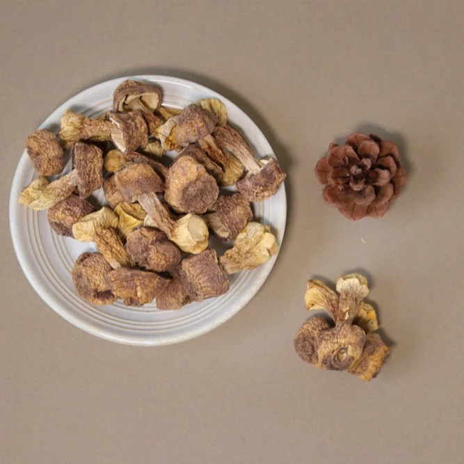 精选无熏硫完整姬松茸干货可煲汤 鲜香脆嫩的口感 菌味浓郁