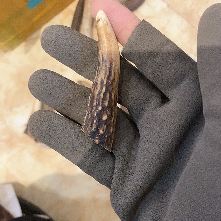 猪***a银S925鹿鹿。       