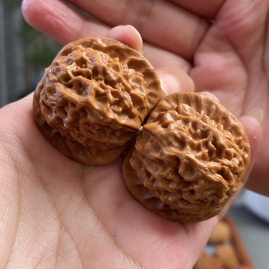 桃核把件40×38尺精修打底瓷娃娃CN355已打底