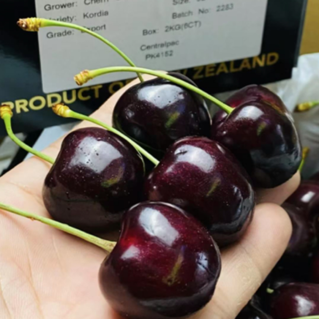 智利进口海运科迪亚车厘子2J-4J/5斤装顺丰京东 内附果径卡