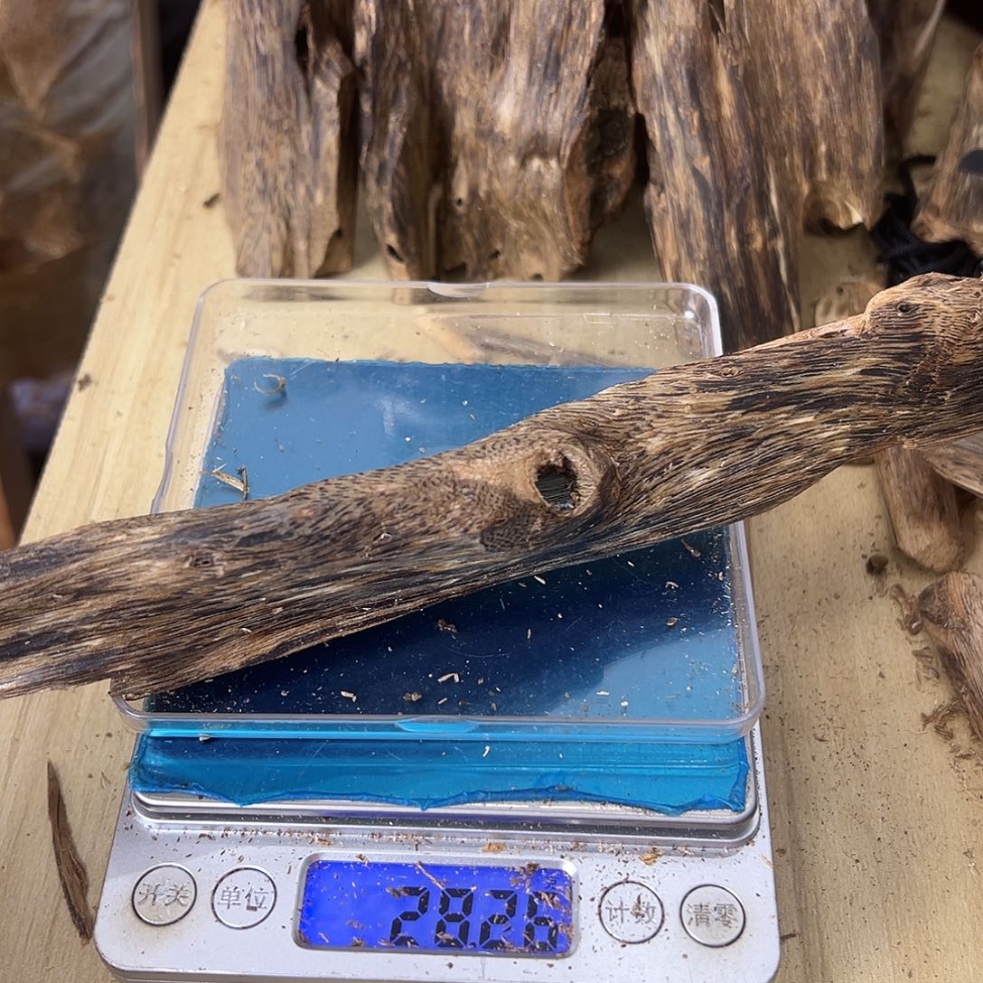 香料绿奇楠虫漏28克乌身