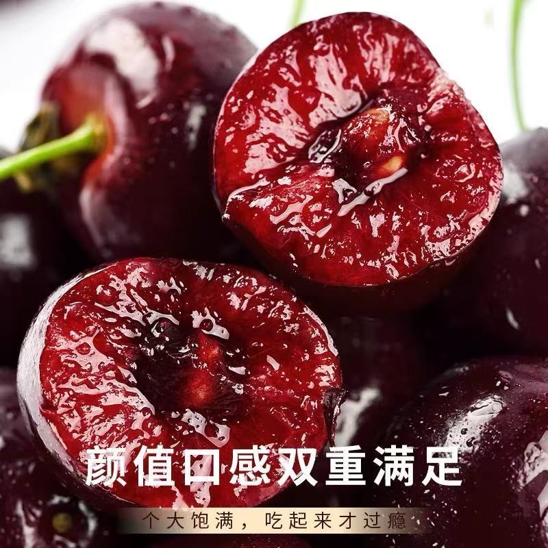 F空运现货3JD(800g)智利进口桑提娜车厘子斤内附果径卡桑提娜樱桃智利共和国