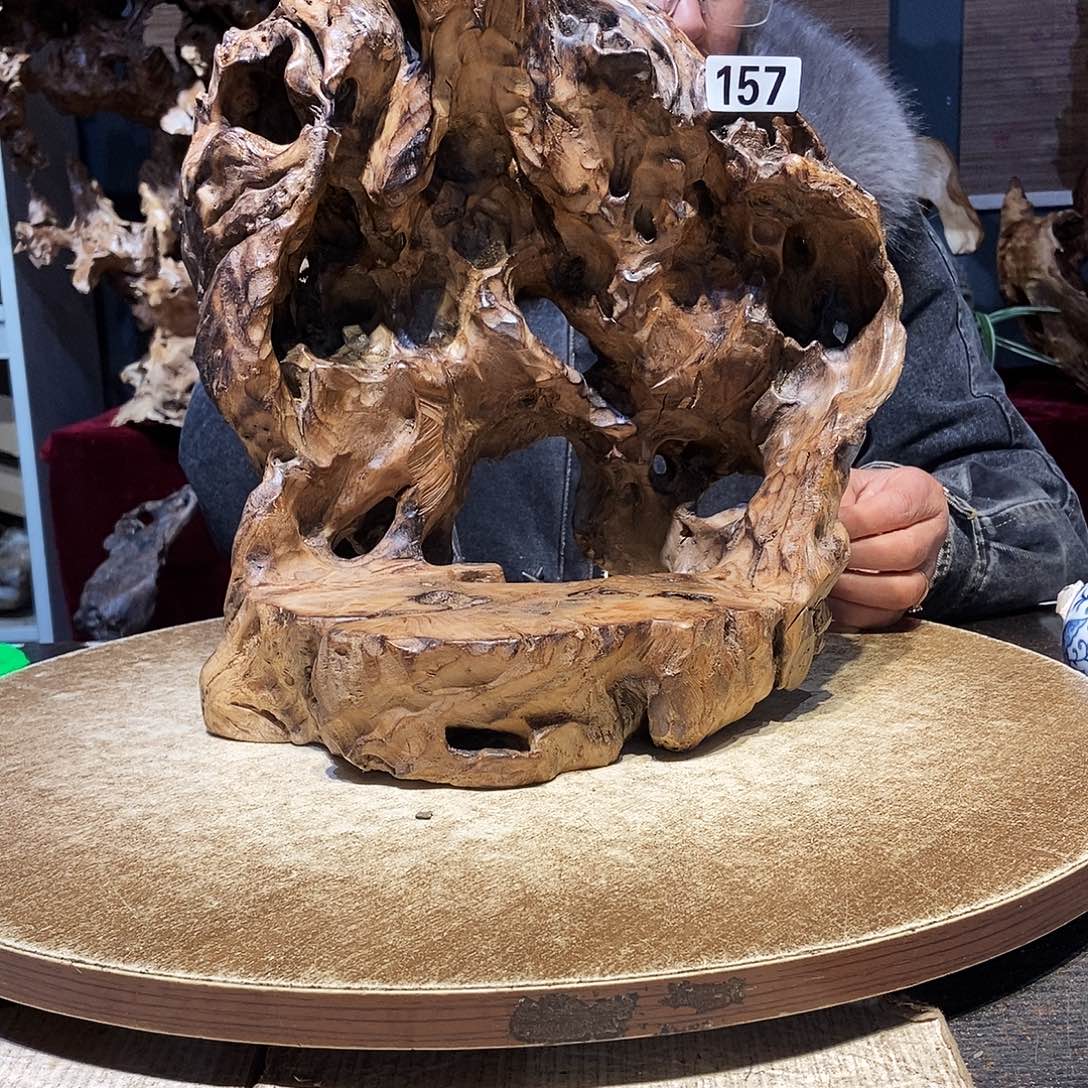 煋***玖157。株木随行根艺