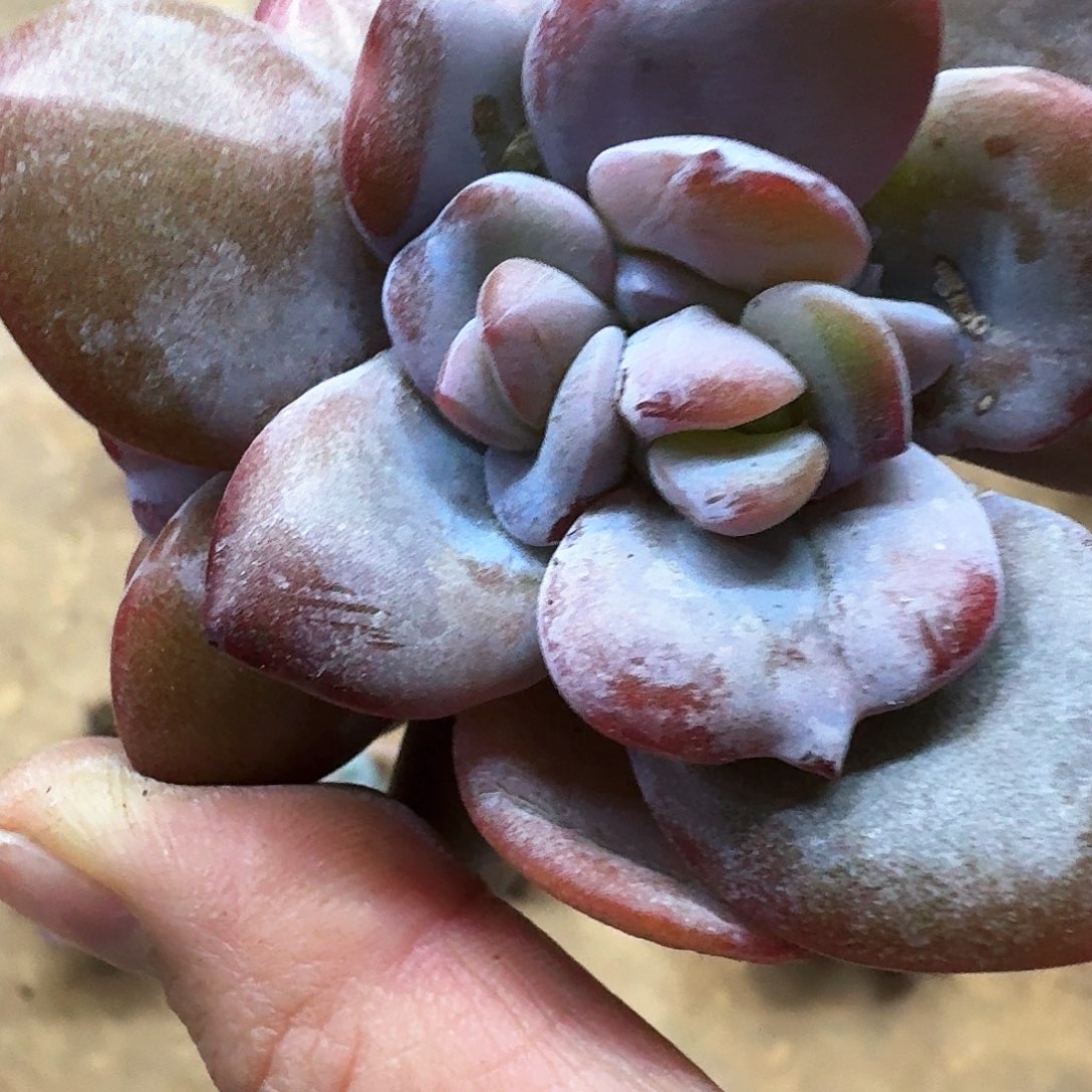 嗨**J哈哈哈哈哈哈哈哈哈