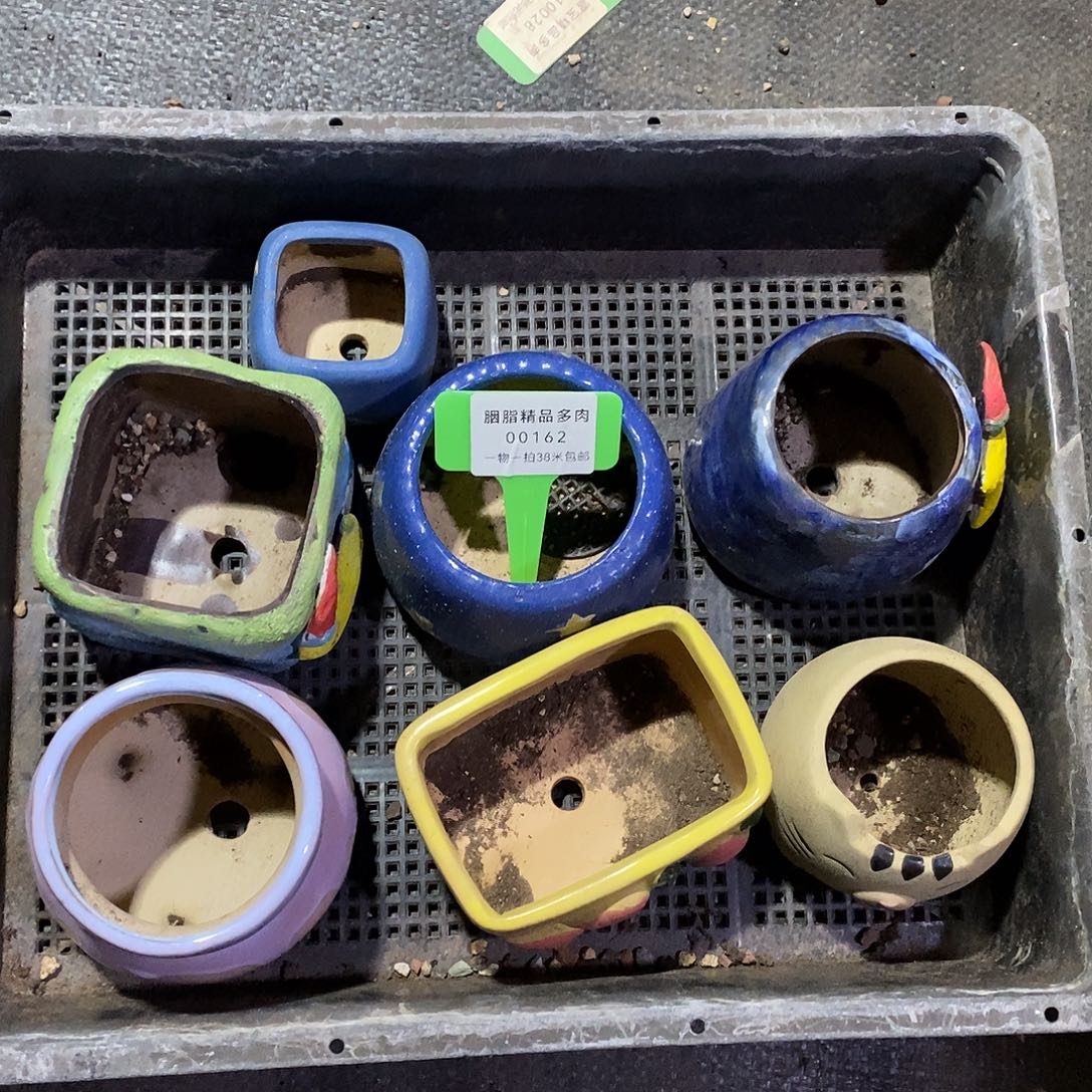 么***z00162册均嗯哦咯哦