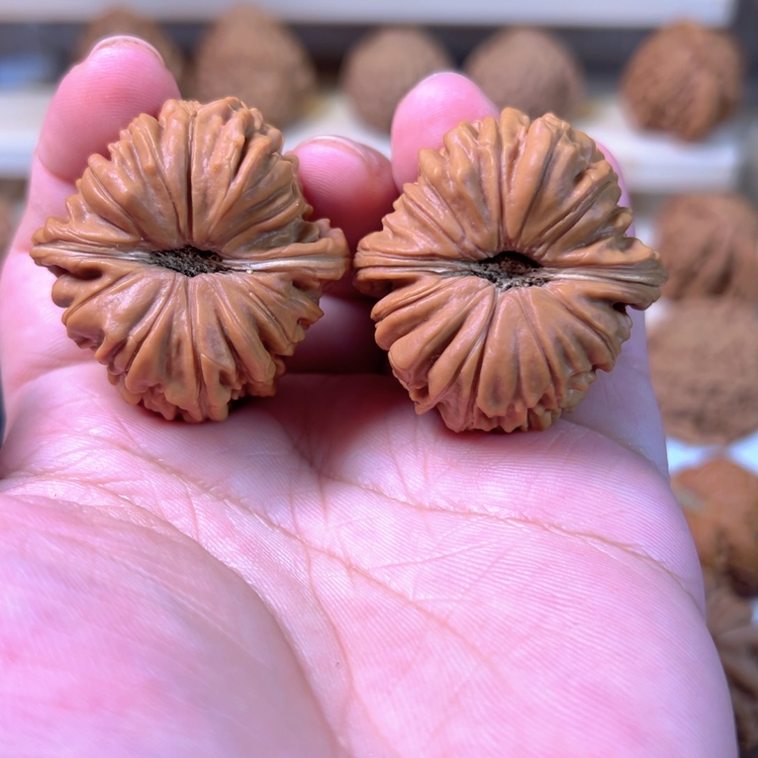 手串/手链核桃40.5尺全品拱桥楼