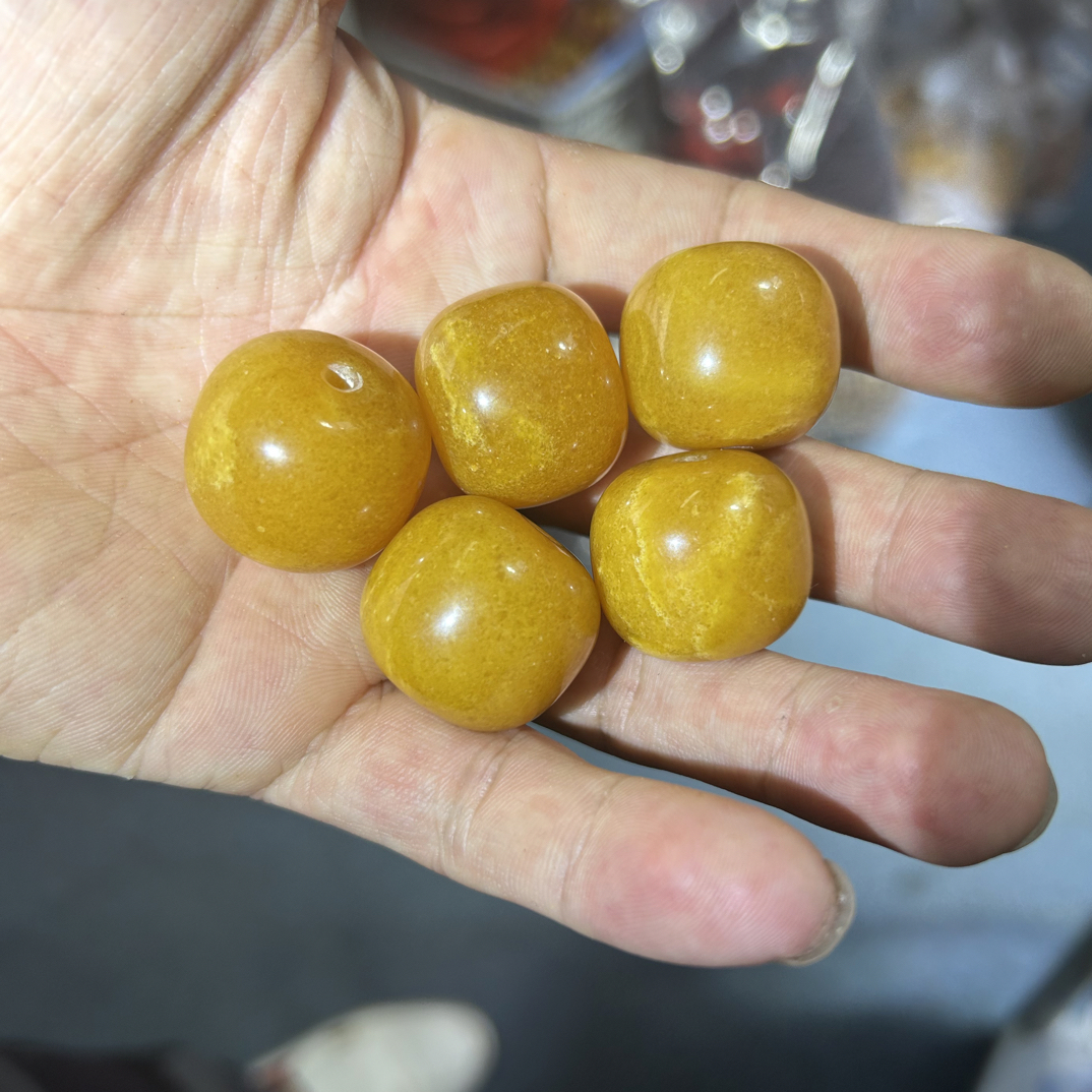 24帝王黄墩子多样性发其一