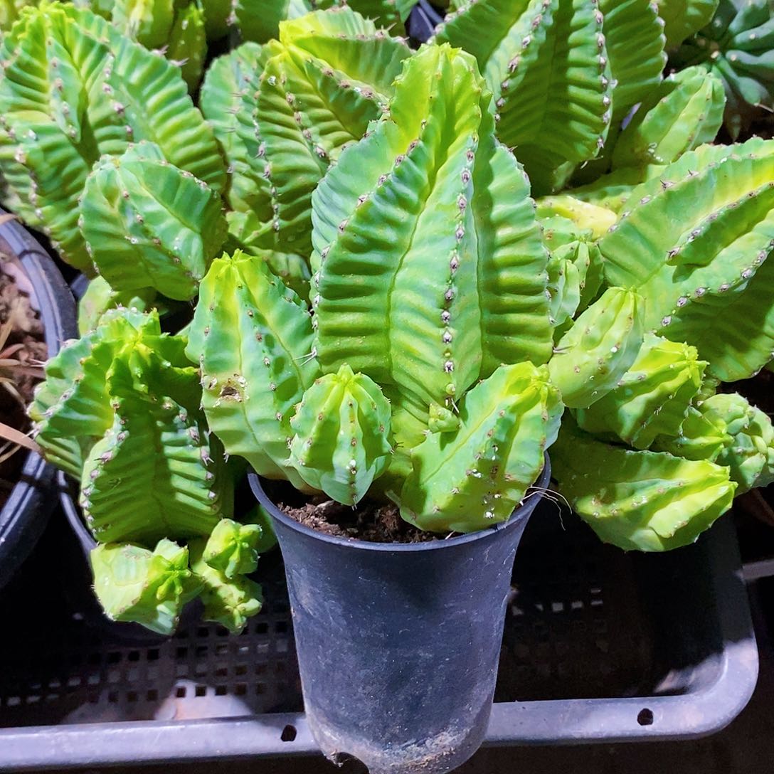 聚会111111111111111个