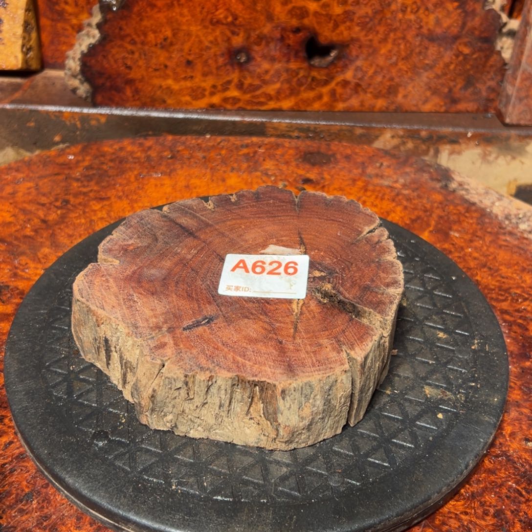 大果紫檀（缅甸花梨）