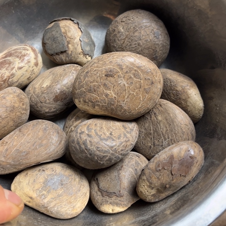 千眼菩提吊坠象牙果 15 个。