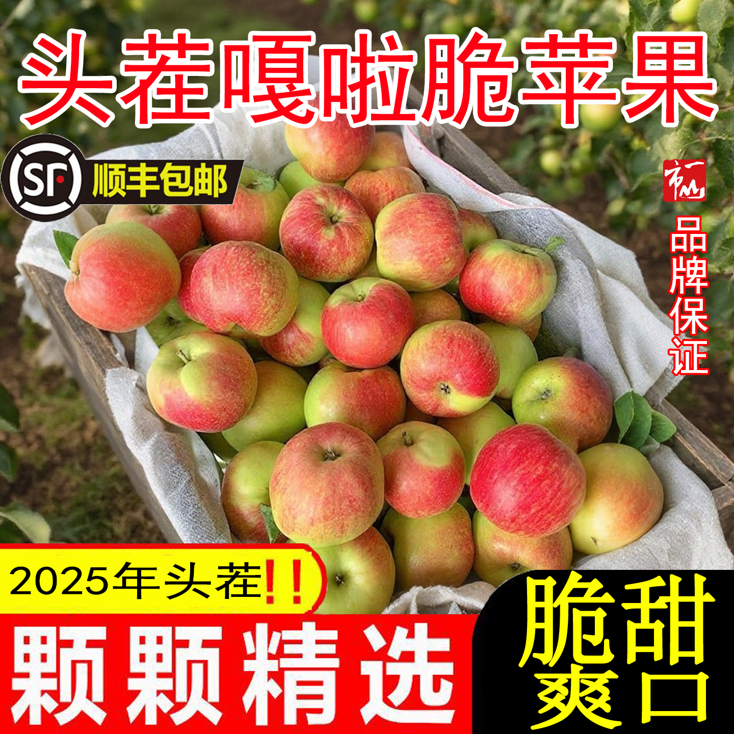 一山一市2025头茬嘎啦苹果【顺丰包邮】时令生鲜当季水果果园直发