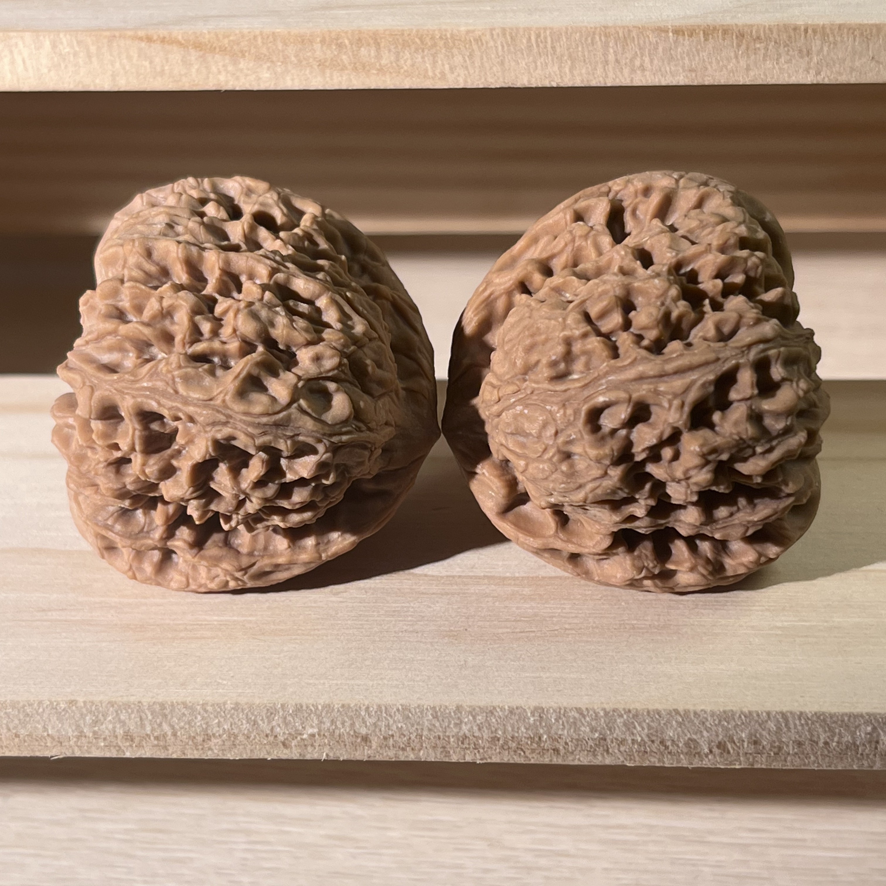 编号166:43尺 全品无修 南疆石核桃