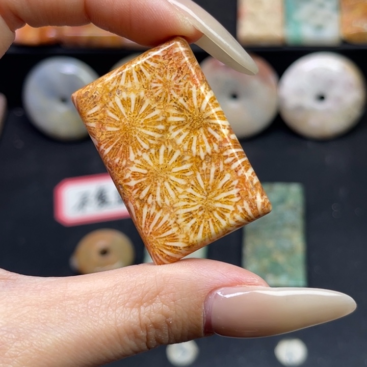 未镶嵌吊坠硅化珊瑚（珊瑚玉）