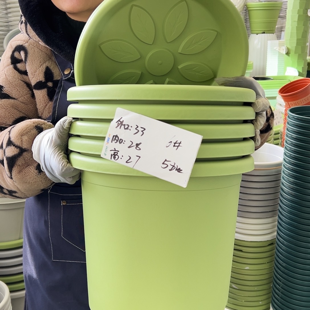 四季盆6#果绿色5个（含托盘）