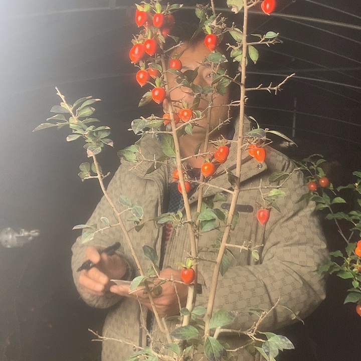 有***人无花朵我们的目标