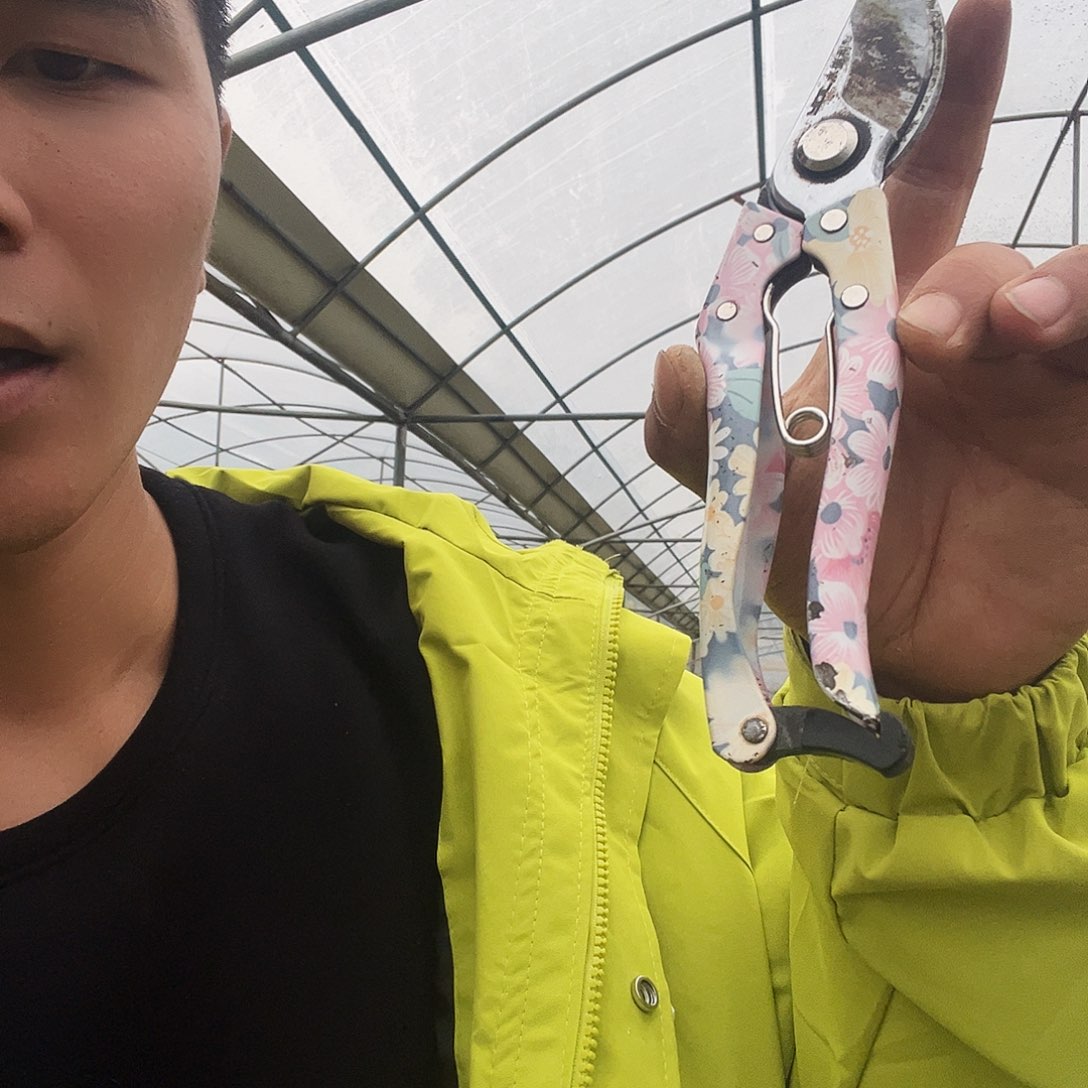 剪刀石头布小将推荐